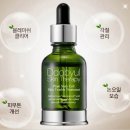 (주)에스엔 전자신문