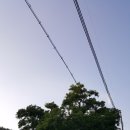 구명당
