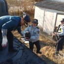 금광파출소 이미지