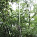 온수도시자연공원(지양산 둘레길) | 경기둘레길 부천 55코스, 동네 뒷산을 이어 만든 산행 코스가 매력적인 도심 속 힐링 코스