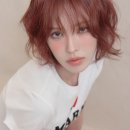 웬디 카카오 검색결과