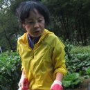 다모아민박 이미지