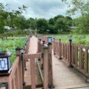 양산호수공원 이미지