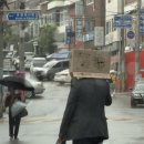 낭만 - 송파구 오금로 526 | 부추 상추 고추 직접 키우기 — 낭만 후기