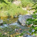 또올래캠핑장 이미지