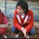 박정자농장 이미지