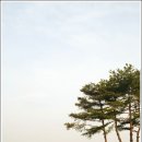 내마음의외갓집 이미지