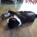 준카 | 8. 노타임 롱씨