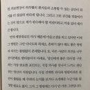말아요 홍선생