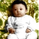 심원철 카카오 검색결과