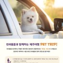캠퍼트리 호텔 앤 리조트 이미지
