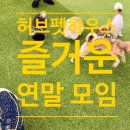 일편댕심 이미지