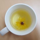 한밭마을 네이버블로그