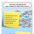 명동수족관