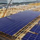 신화 태양광발전소 이미지