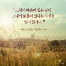 애드립 이미지