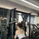 뉴욕피티 이미지