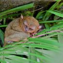 열린안경 이미지