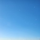 우미용소