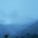 산안개 농장 Daum카페