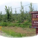 성문농장 이미지