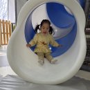 천전동3 Daum카페