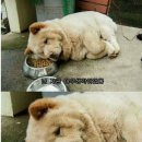 한강상회 이미지