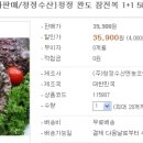 완도참전복 이미지