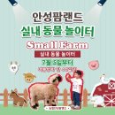 장수자동차정비 | 경기도 아이랑 갈만한 곳 안성팜랜드 스플래쉬 물총놀이 버블앤버블 스몰팜 방문후기 꿀팁 준비물