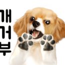 은밀하개위대하개 이미지