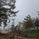 죽엽산농장 이미지