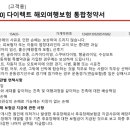 메리츠화재 해외여행자 보험 이미지