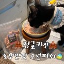 피쉬앤키친 이미지