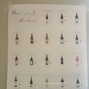 씨에스티(C.S.T) | 충무로 C의 집 점심 T's home 내돈내산 후기