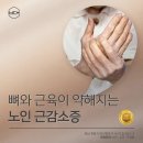 의료법인합포의료재단마산우리요양병원 | 마산 요양병원 노인 근감소증을 예방하고 관리하려면?