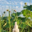 바다, 생명을 담다 이미지