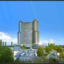 우정매향 이미지