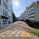 연산교차로(연일시장 방면) 이미지