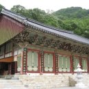 와룡리마을길 이미지