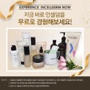 스텔라인셀덤 - 사하구 | 스텔라인셀덤