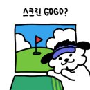라베스크린골프 이미지