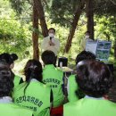 완월동100 이미지