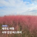 보룡약국 | 제주도 여행 서부 감성 버스투어 뚜벅이 코스 후기