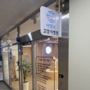 이영수 고양이 병원 | [일상/고양이 동물병원] 인천 고양이 전문 병원 치과 &amp; 심장초음파 이영수 고양이 병원 방문 후기...