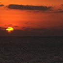 나로아라 이미지