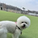 레인바우 네이버블로그