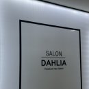 살롱 다알리아