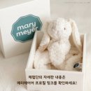 메리베어 이미지