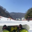 비발디렌통령 이미지