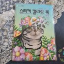 써지스튜디오 이미지